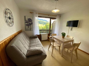 Studio cabine confortable au Chinaillon, proche pistes et commerces - FR-1-241-19
